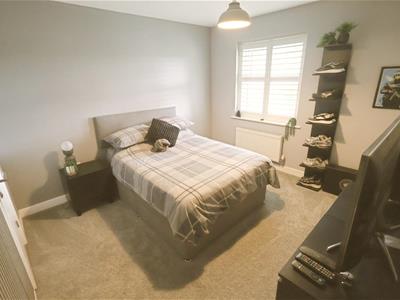 Picture 14